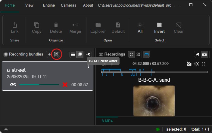 Screenshot of analyze button